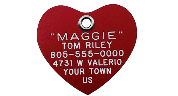 Stainless Steel Pet ID Tag